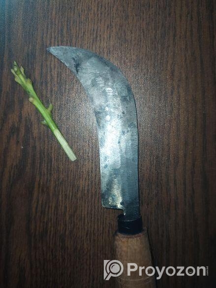 কলম করা চাকু