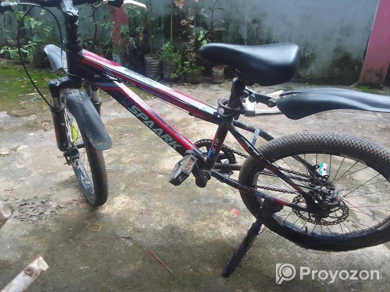 Non Gear Cycle