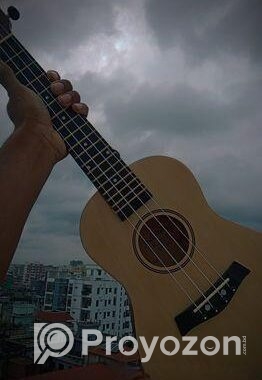 Ukulele