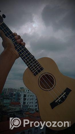 Ukulele