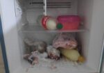 Freeze for sell