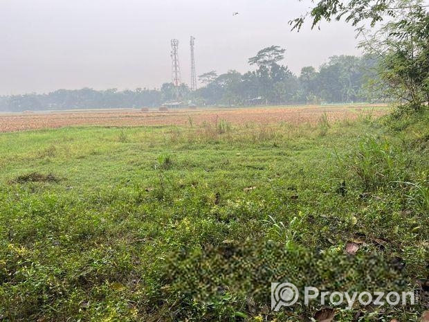 পার্টনারশিপ চাই