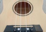 Ukulele