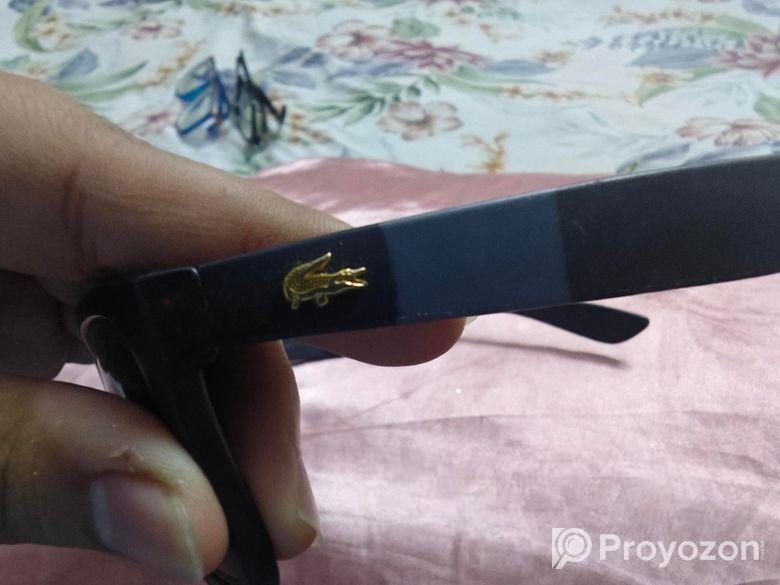 Sunglass