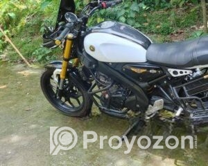 fitted-5_2025-08-13_13-56-37