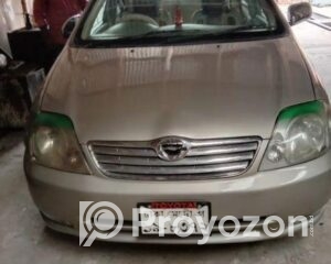 fitted-5_2025-08-14_12-25-57