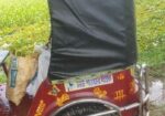 Oto gari 2024
