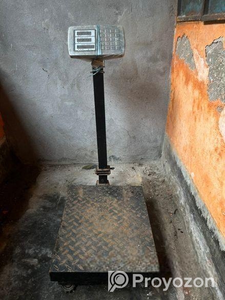 Electronic Scale