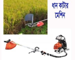 fitted-63_2025-08-14_11-34-03