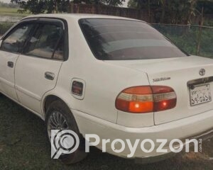 fitted-66_2025-08-14_11-49-43