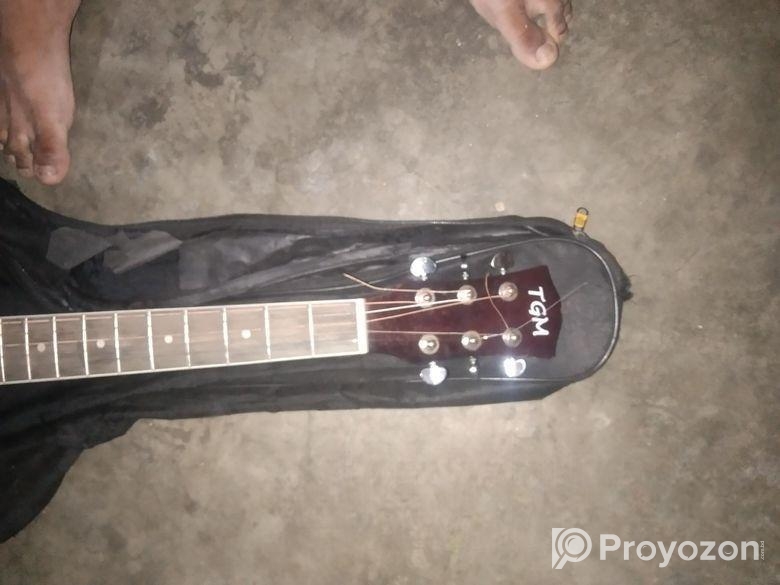 guitar