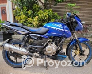 fitted-6_2025-08-11_09-23-38