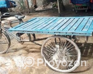 fitted-6_2025-08-16_10-06-21