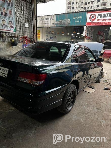 রেন্ট কার টিয়াই কারিনা