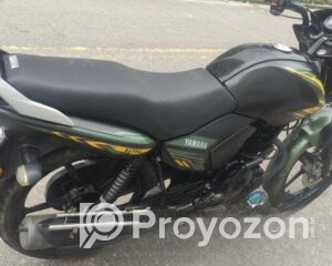 fitted-75_2025-08-11_18-43-25