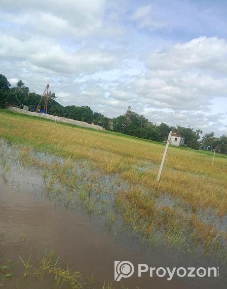 একটি জমি বিক্রয় করা হবে
