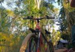 Fresh Sport Bicycle