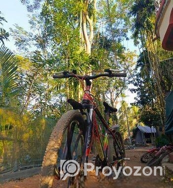 Fresh Sport Bicycle