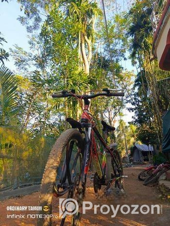 Fresh Sport Bicycle