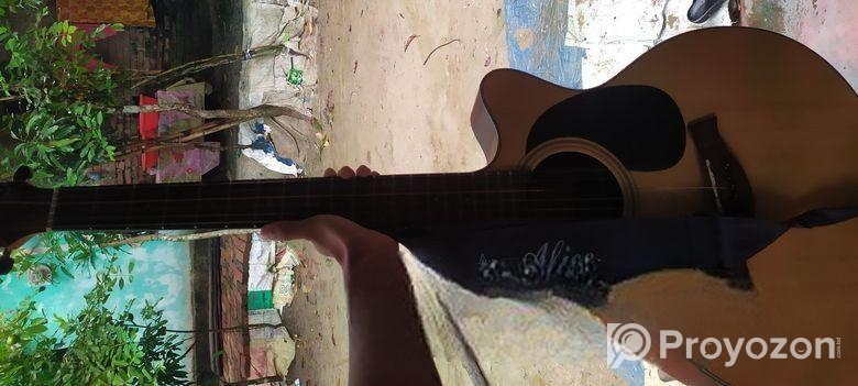 গিটার ফুল ফ্রেশ কন্ডিশন