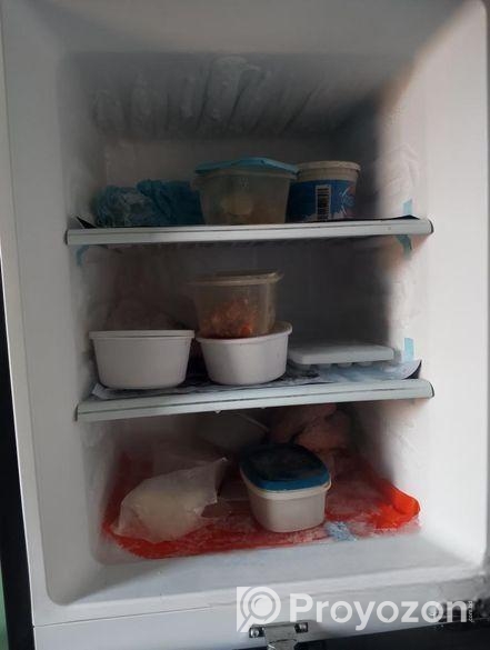 Walton Fridge