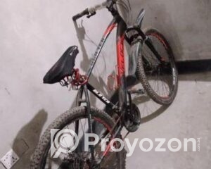 fitted-81_2025-08-31_11-46-34