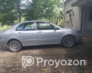 fitted-82_2025-08-19_11-35-35