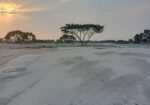 নিরাপদ ও নিশ্চিত বিনিয়োগ মধুসিটিতে।