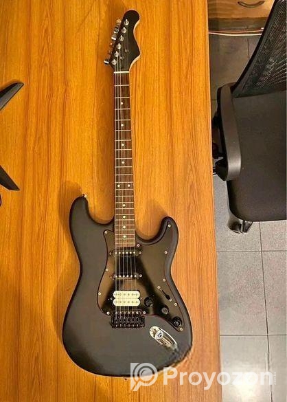 Electric Guitar