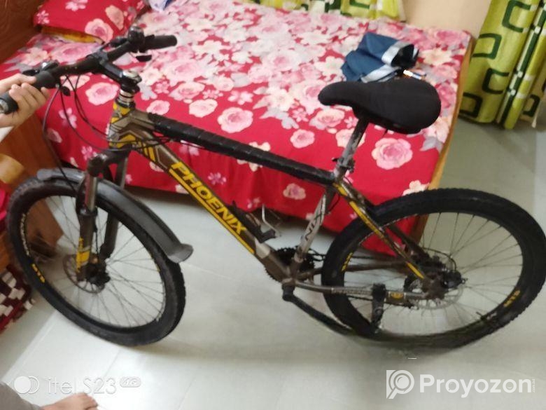 Phonix Cycle