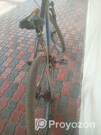 Bicycle Sell