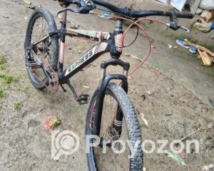 fitted-8_2025-08-11_09-45-19