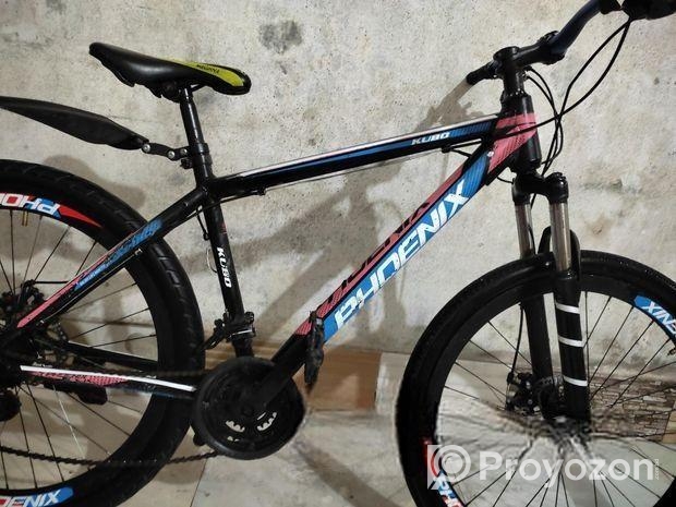 Phoenix for sale