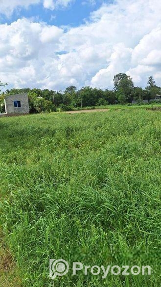 Land sell