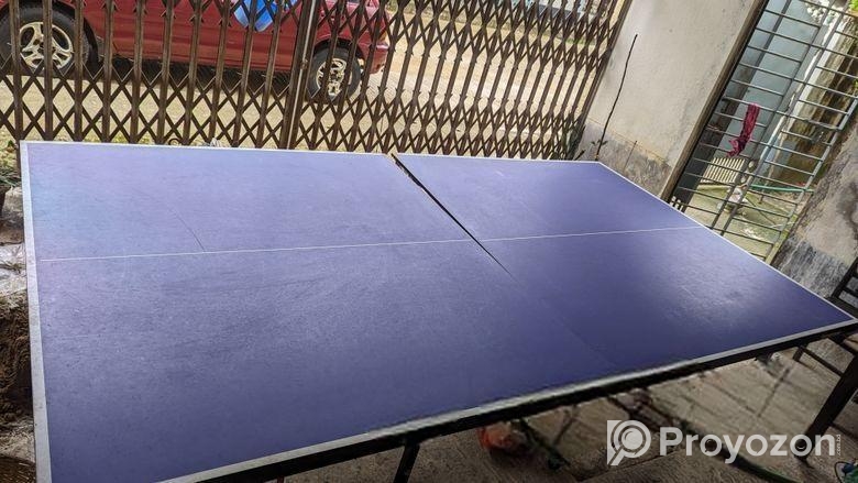 Table Tennis