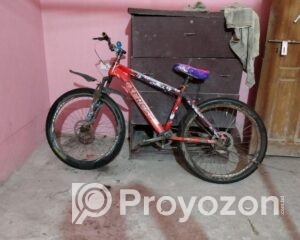 fitted-97_2025-08-12_11-07-15