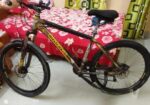 Phonix Cycle