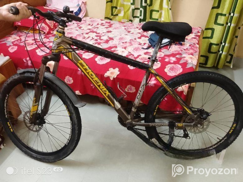 Phonix Cycle