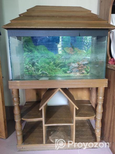 Aquarium 2.5 Fit