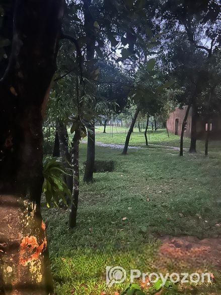 Land For Sell