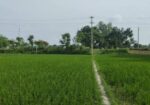 একটি জায়গা বাড়ি সহ বিক্রয় করা হবে।