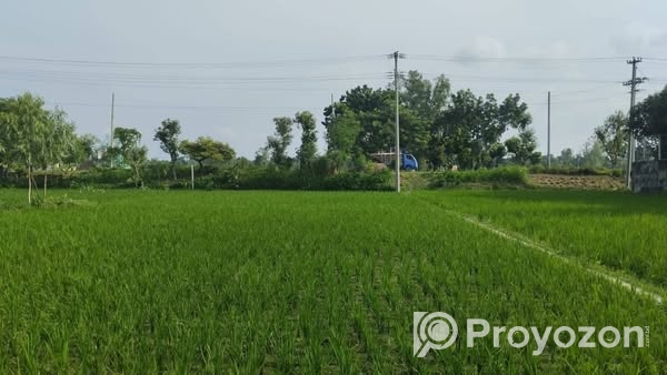 একটি জায়গা বাড়ি সহ বিক্রয় করা হবে।