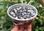 চকলেট প্রিমিয়াম টাব কেক