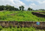 গোলাপবাগ লেবুর মোড়ে ১১ ফিট রাস্তা সংলগ্ন একটি প্ল