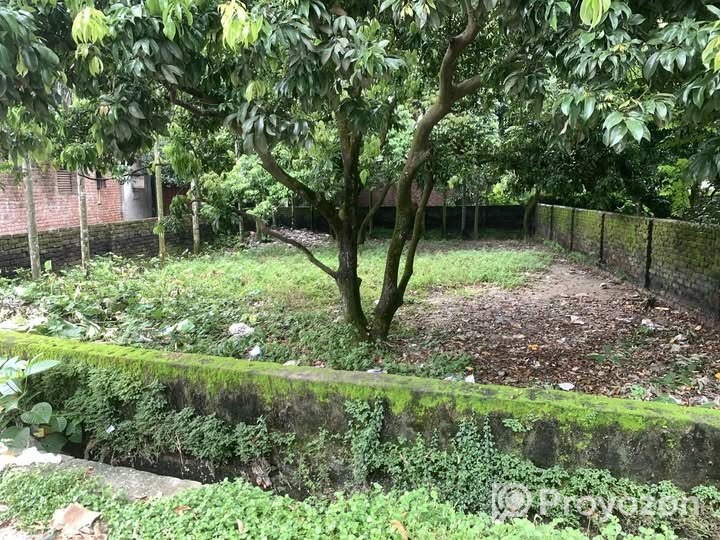 সদর দিনাজপুর জামাই পাড়া মোড়েই ৫ শতক জমি বিক্রি হব