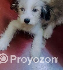 fitted-100_2025-09-20_12-30-51