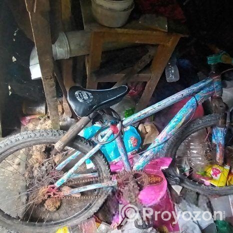 Bicycle for sale