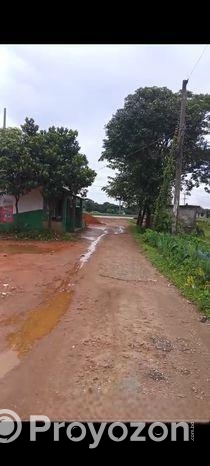 বাদাঘাট জেল লাগোয়া ৮শতাংশ জমি বিক্রি