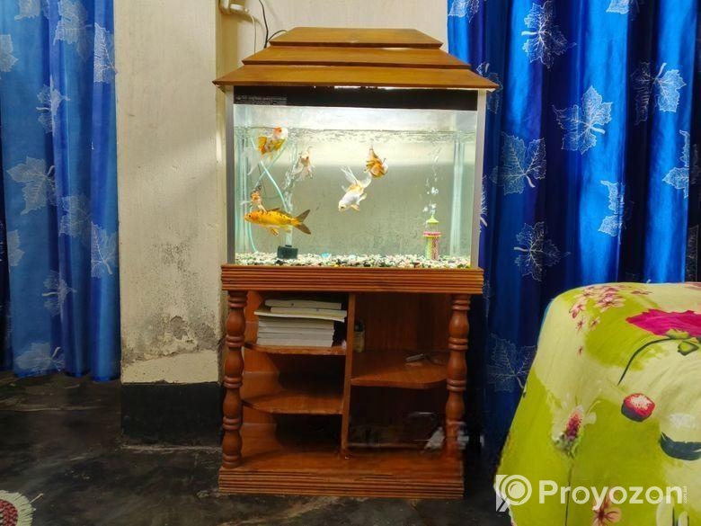 Aquarium full set