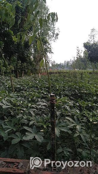JOMI BIKROY